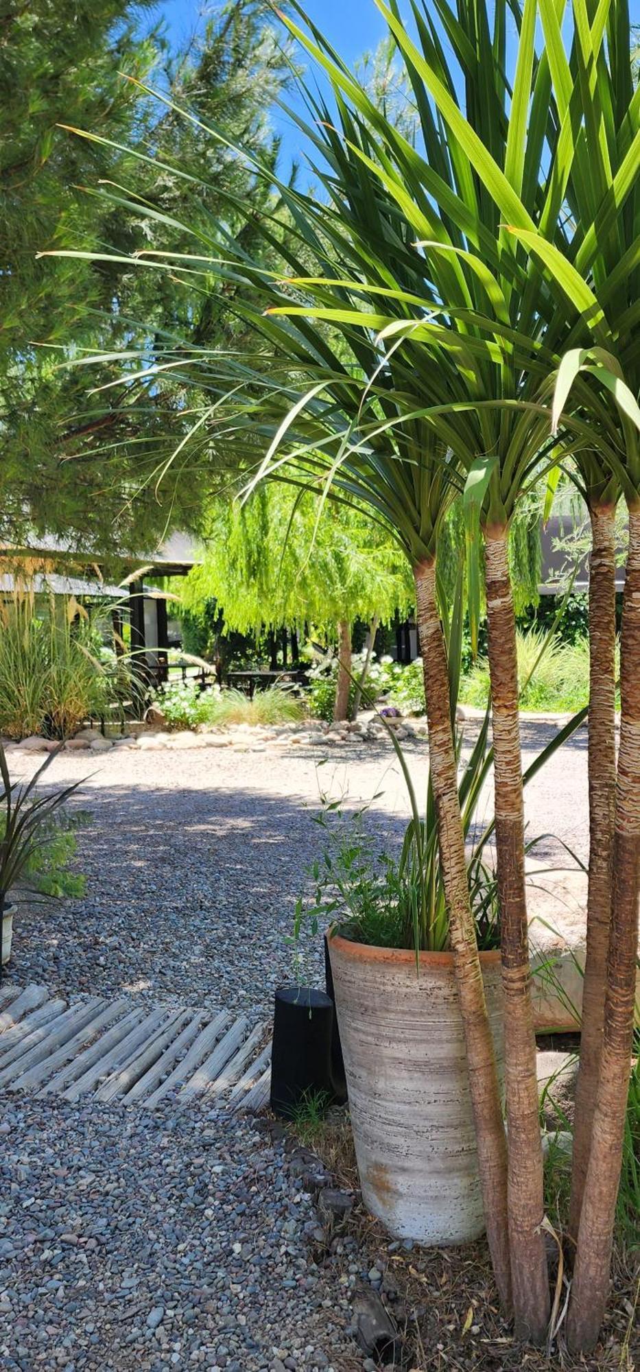 Finca La Puebla Hotell La Consulta Exteriör bild